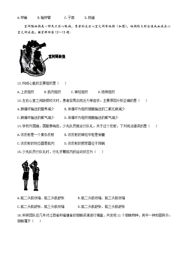 湖南省长沙市一中双语实验学校2023-2024学年八年级下学期生物月考（二）03