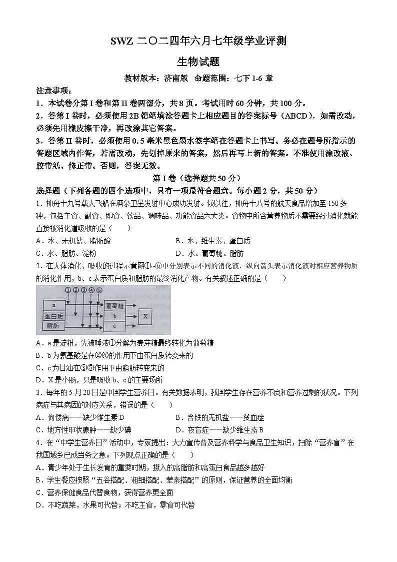 山东省济宁市汶上县第三实验中学2023-2024学年七年级下学期6月月考生物试题01