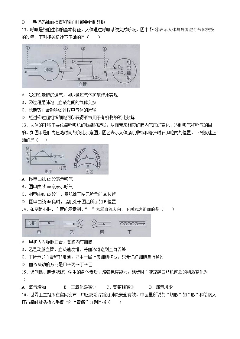 山东省济宁市汶上县第三实验中学2023-2024学年七年级下学期6月月考生物试题03