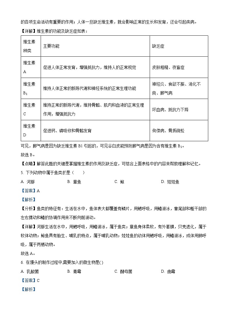 2024年甘肃省武威市凉州区东河中学联考九年级三模生物试题03