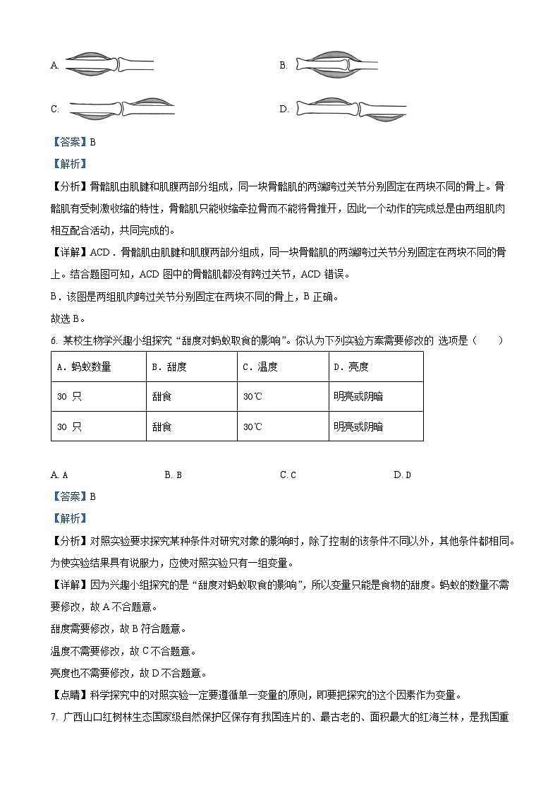 2024年广西初中学业水平考试生物试题03