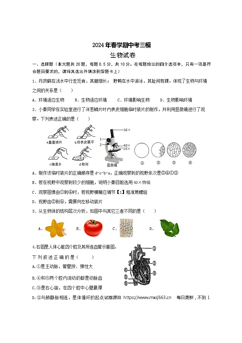 2024年江苏省盐城市大丰区八年级中考三模生物试题第1页