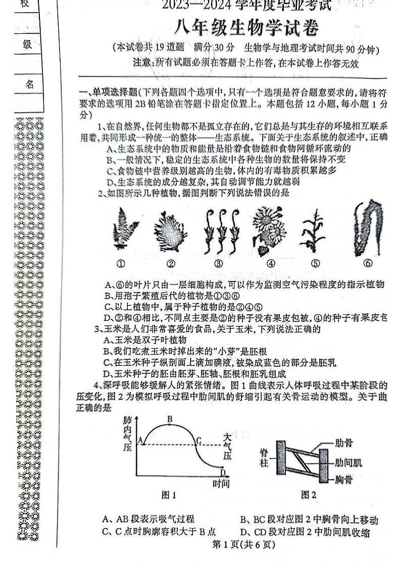 2024年辽宁省丹东市凤城市八年级中考二模生物试题01