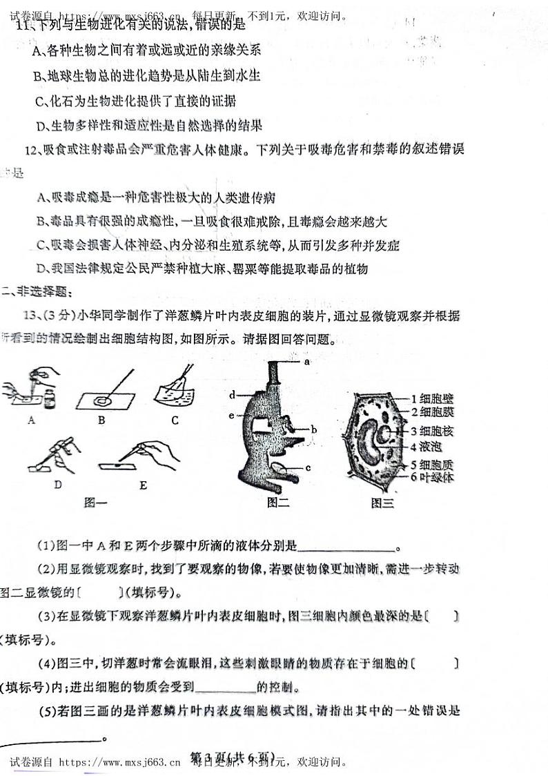 2024年辽宁省丹东市凤城市八年级中考二模生物试题03