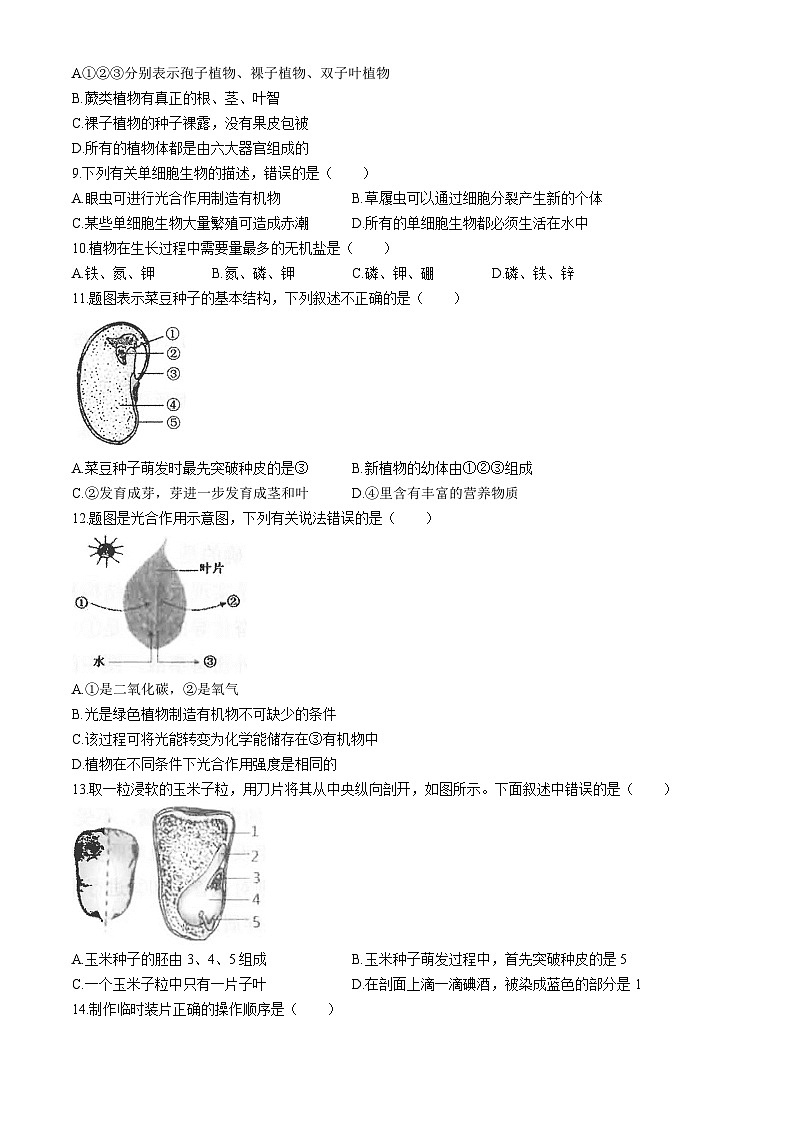 广东省汕头市潮南区陈店实验2023-2024学年八年级下学期6月月考生物试题第2页