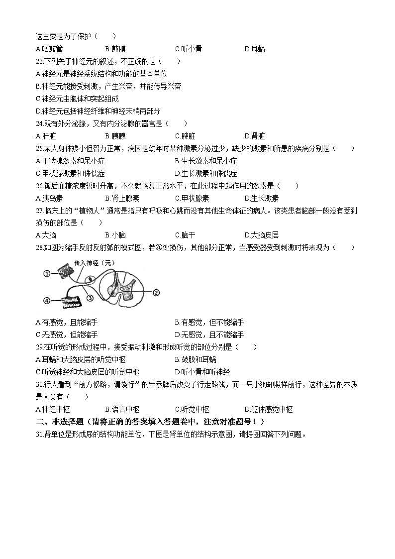 广东省汕头市潮南区陈店实验学校2023-2024学年七年级下学期6月月考生物试题03