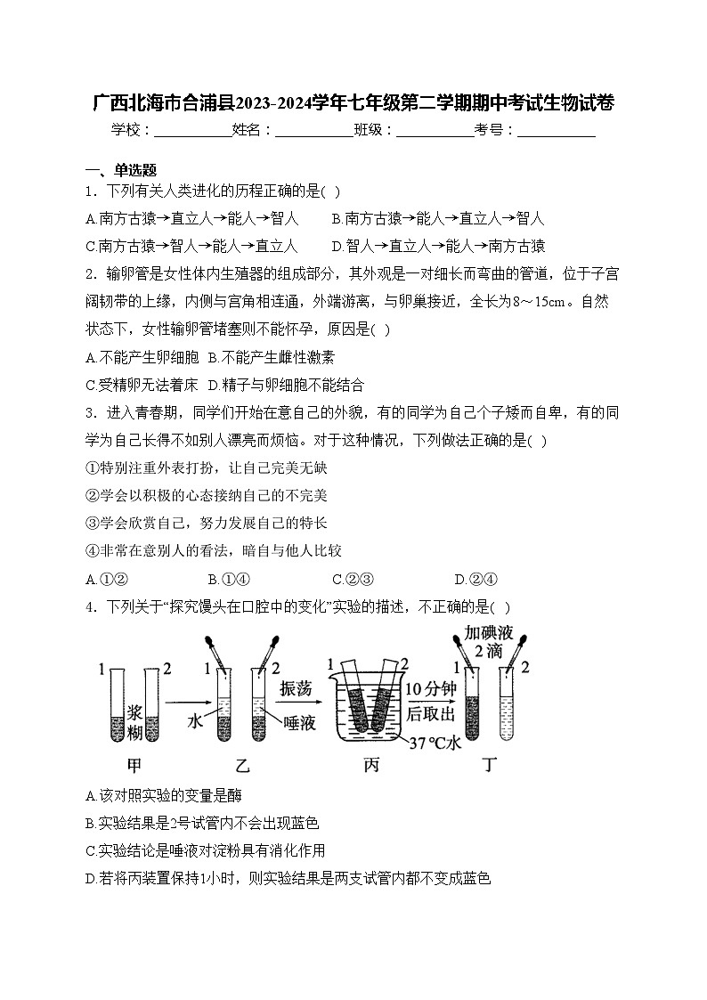 广西北海市合浦县2023-2024学年七年级第二学期期中考试生物试卷(含答案)第1页