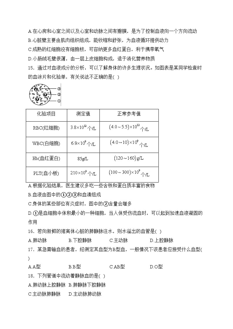 河南省洛阳市嵩县2023-2024学年七年级下学期期中考试生物试卷(含答案)03