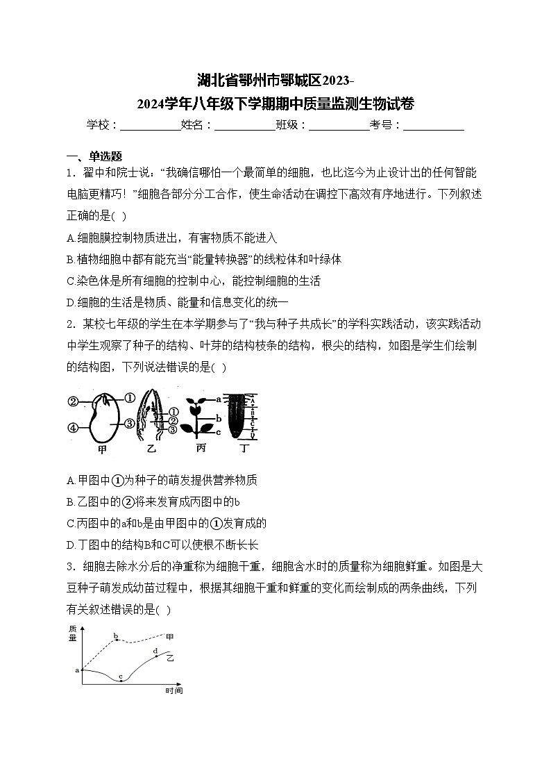 湖北省鄂州市鄂城区2023-2024学年八年级下学期期中质量监测生物试卷(含答案)第1页