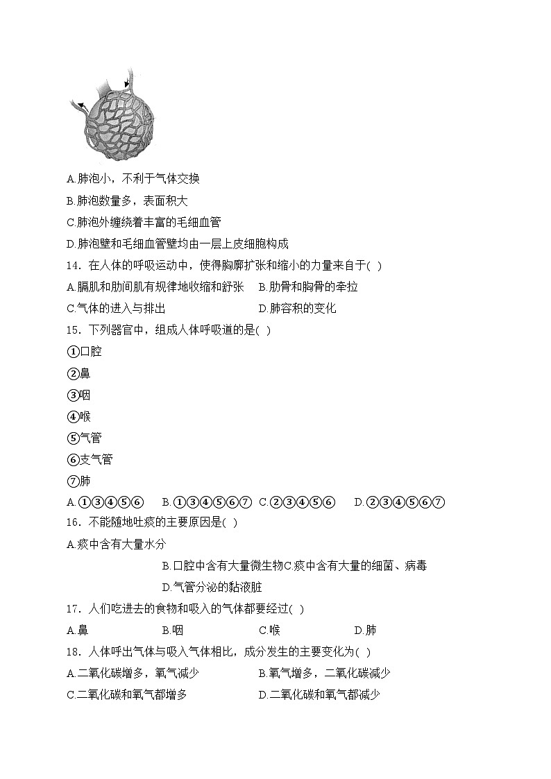 湖南省岳阳市六校联考2023-2024学年七年级下学期期中考试生物试卷(含答案)第3页