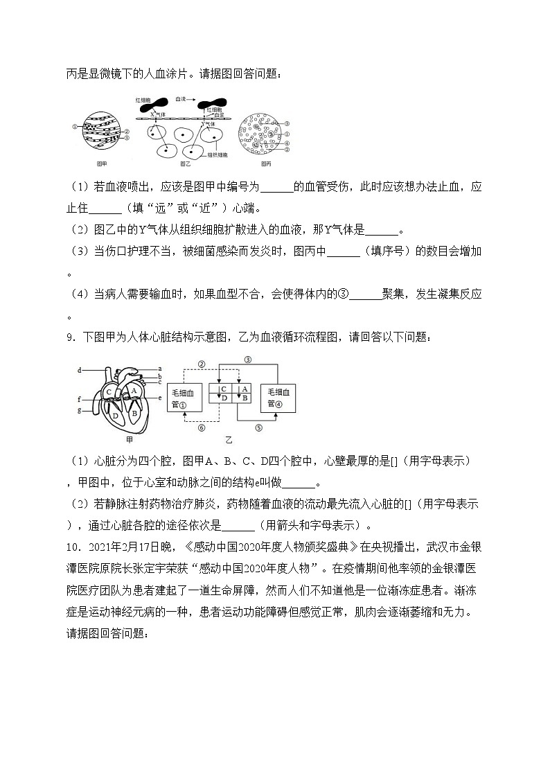 四川省泸州市合江县第五片区2023-2024学年七年级下学期第一次月考生物试卷(含答案)第3页