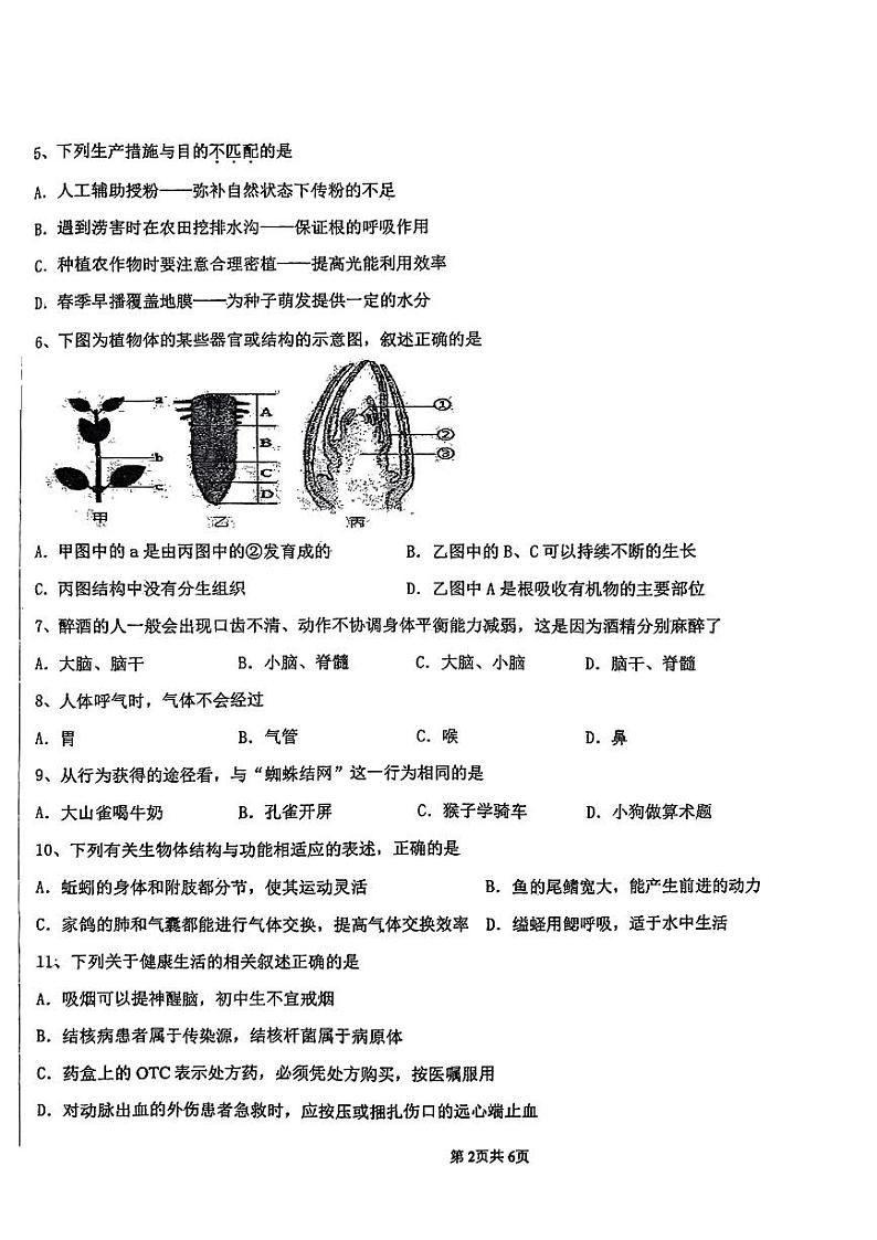 2024年辽宁省丹东市第五中学中考三模生物试题第2页
