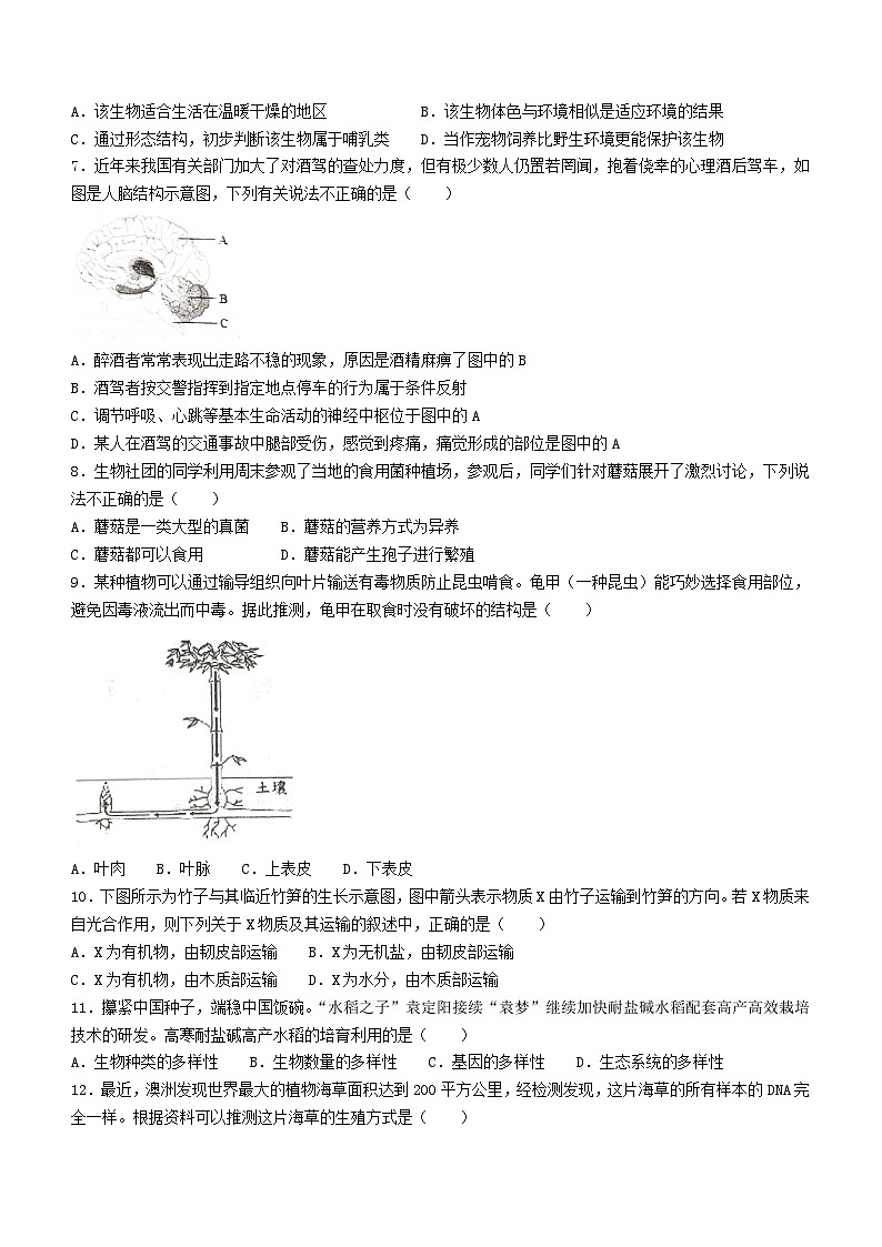2024年山东省淄博市淄川区小中考二模生物试卷+第2页