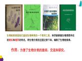 14.2 生物检索表-2023-2024学年七年级生物下册同步精品课堂（苏科版）课件PPT