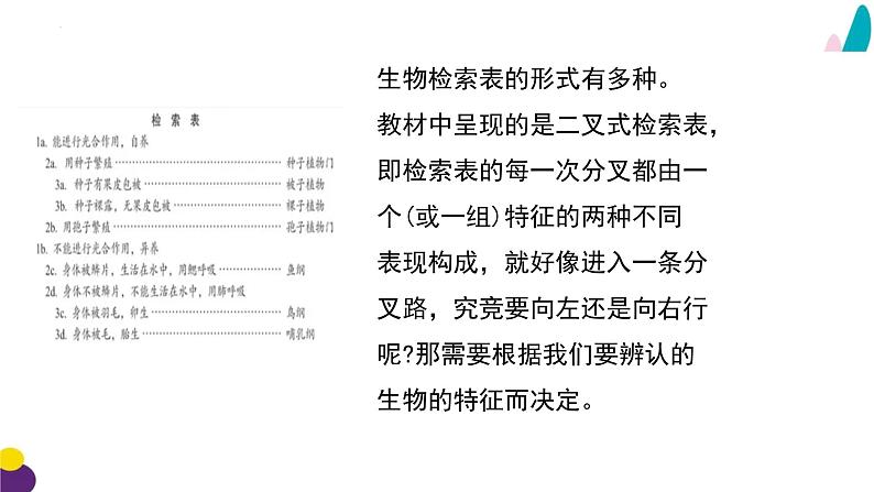 14.2 生物检索表-2023-2024学年七年级生物下册同步精品课堂（苏科版）课件PPT07