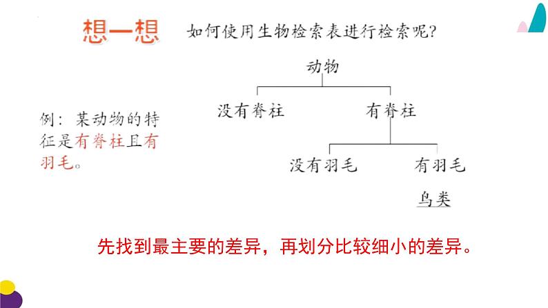 14.2 生物检索表-2023-2024学年七年级生物下册同步精品课堂（苏科版）课件PPT08