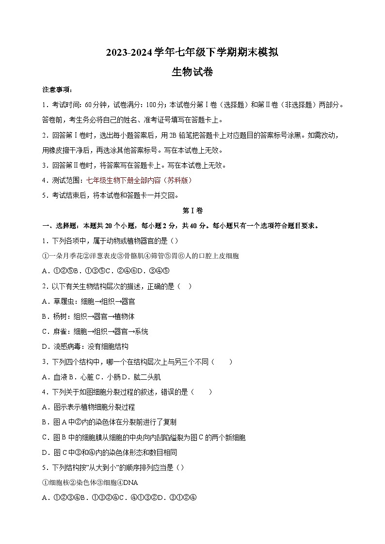2023-2024学年苏科版七年级生物下学期期末模拟试卷（含答案解析）第1页