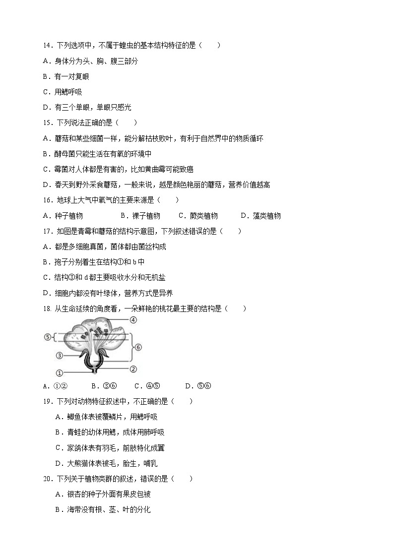 2023-2024学年苏科版七年级生物下学期期末模拟试卷（含答案解析）第3页