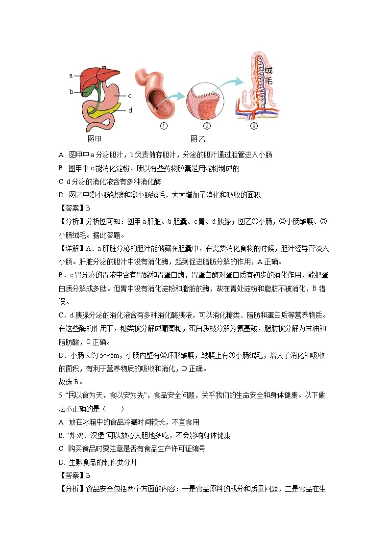 生物：山东省滨州市无棣县2023-2024学年七年级下学期期中试题（解析版）第3页
