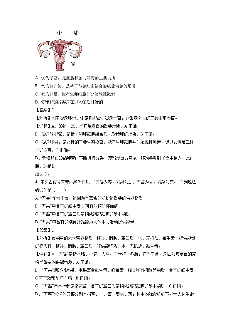 生物：山东省临沂市沂水县2023-2024学年七年级下学期期中试题（解析版）第2页