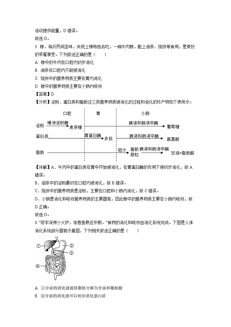 生物：山东省临沂市沂水县2023-2024学年七年级下学期期中试题（解析版）第3页