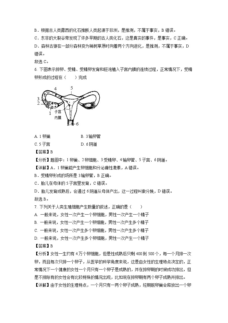 生物：贵州省安顺市西秀区安顺阳光未来学校2023-2024学年七年级下学期3月月考试题（解析版）第3页