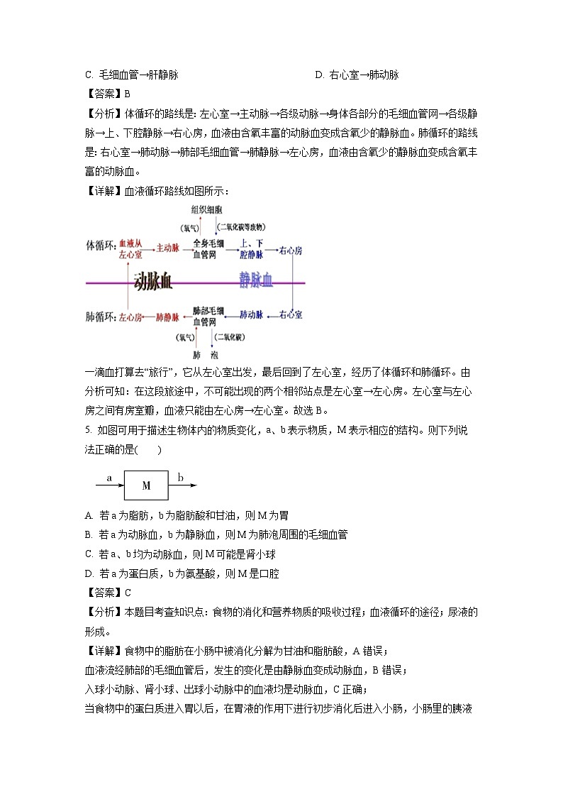 生物：湖北省荆州市荆州区2022-2023学年七年级下学期期末试题（解析版）03