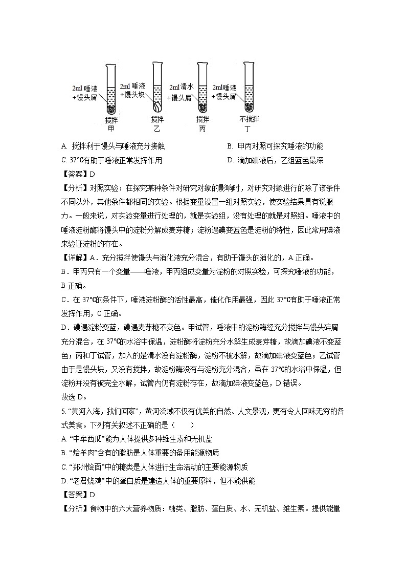 生物：河南省郑州市航空港区全区2022-2023学年七年级下学期期末试题（解析版）03