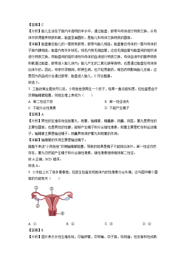 生物：广东省阳江市江城区2023-2024学年七年级下学期期中试题（解析版）第2页