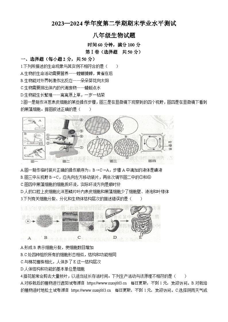 山东省嘉祥县2023-2024学年八年级下学期期末学业水平测试生物试题01
