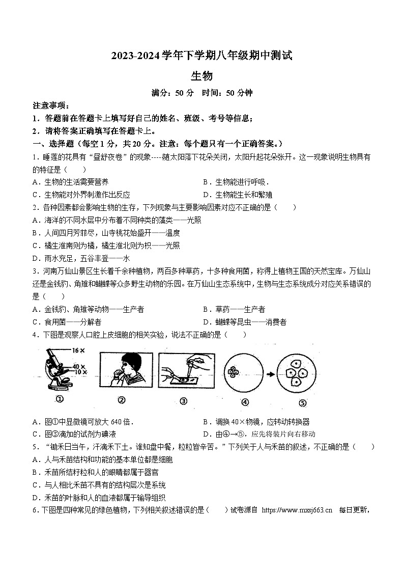 河南省新乡市长垣市第一初级中学2023-2024学年八年级下学期期中考试生物试题(无答案)01