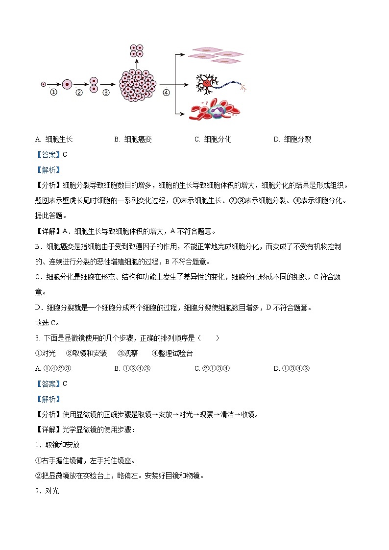 河南省许昌市禹州市2023-2024学年八年级下学期期中生物试题02