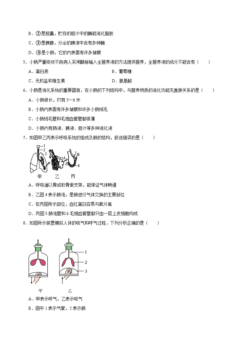 2023-2024学年山东省济南市天桥区七年级（下）期中生物试卷第2页
