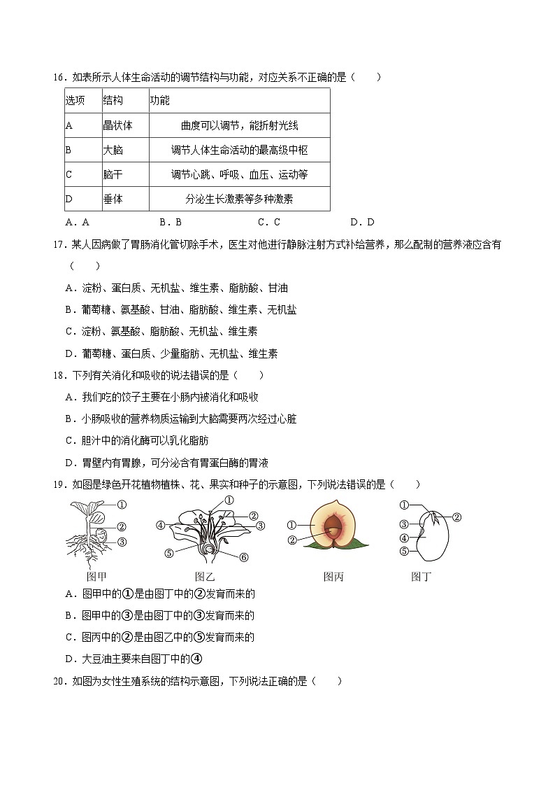2022-2023学年山东省济南市商河县八年级（下）期中生物试卷03