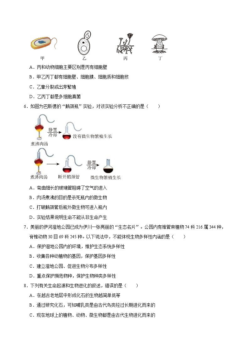 2023-2024学年河南省洛阳市伊川县八年级（下）期中生物试卷02