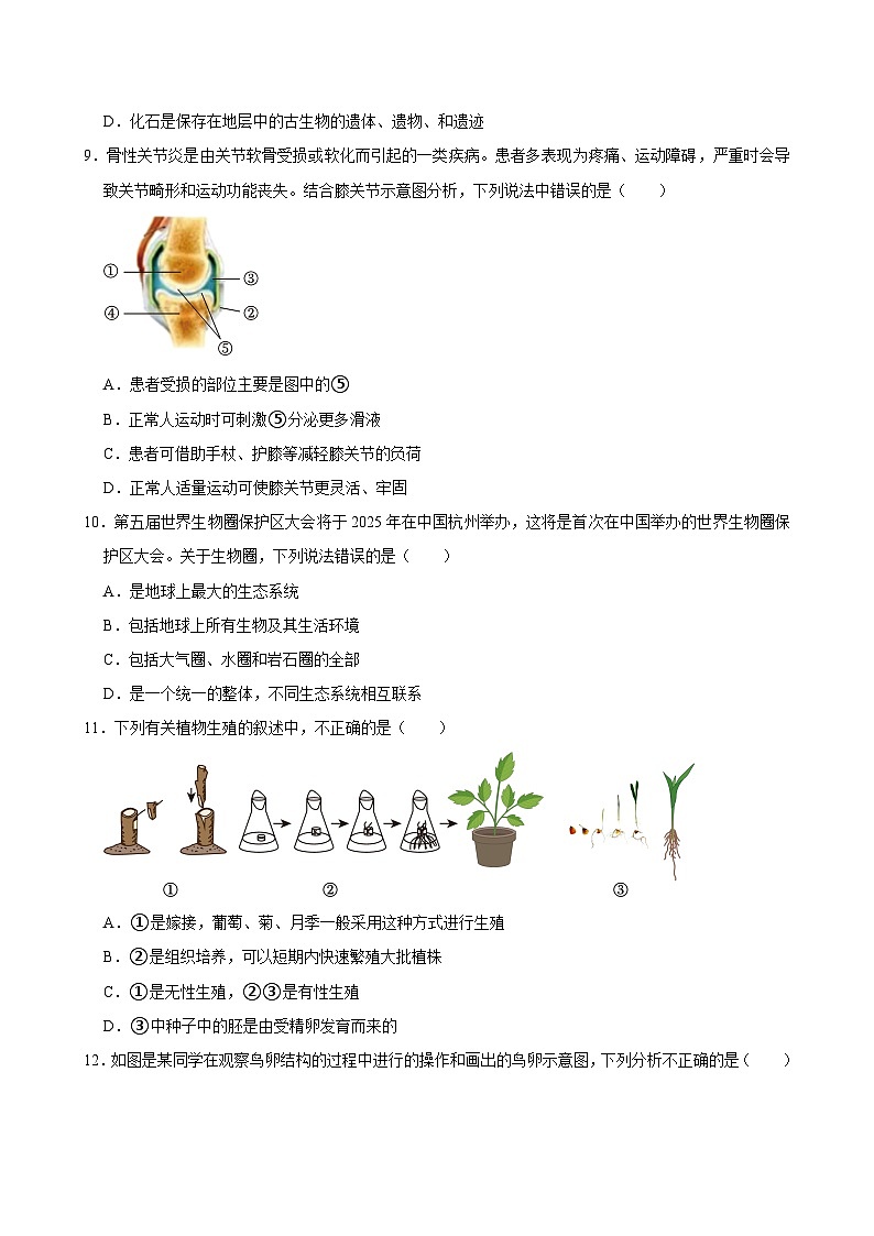 2023-2024学年河南省洛阳市伊川县八年级（下）期中生物试卷03