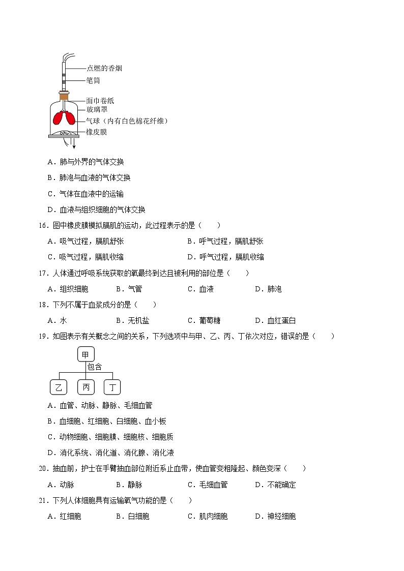 2023-2024学年福建省福州市福清市七年级（下）期中生物试卷03