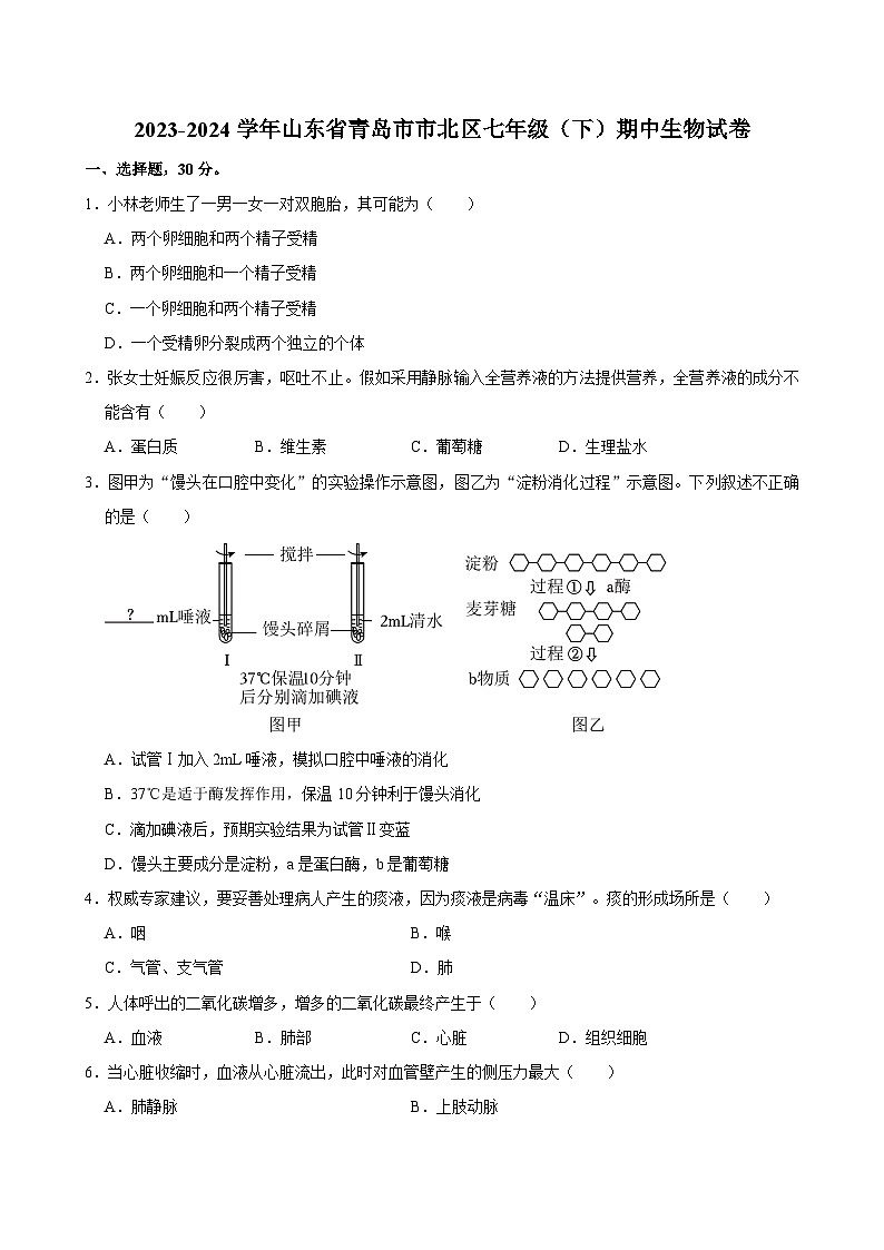 2023-2024学年山东省青岛市市北区七年级（下）期中生物试卷01