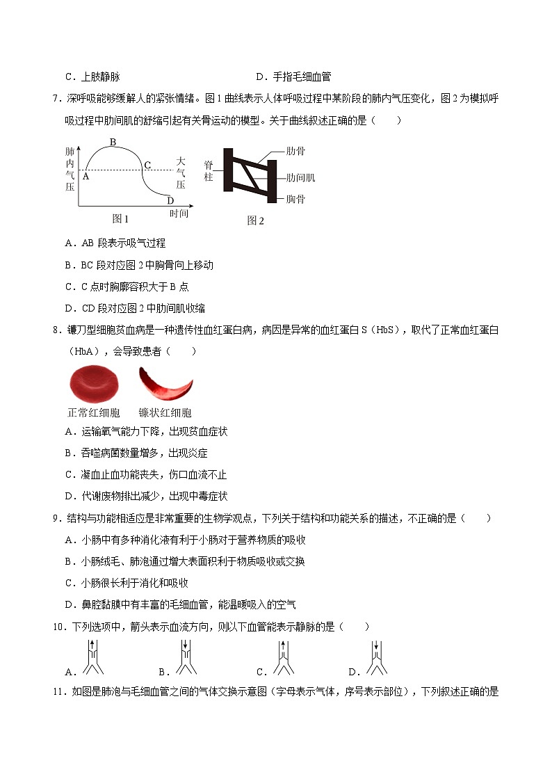 2023-2024学年山东省青岛市市北区七年级（下）期中生物试卷02