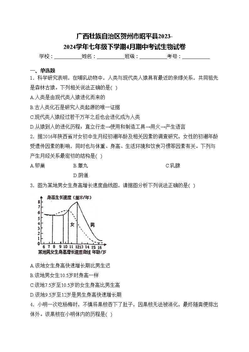 广西壮族自治区贺州市昭平县2023-2024学年七年级下学期4月期中考试生物试卷(含答案)01