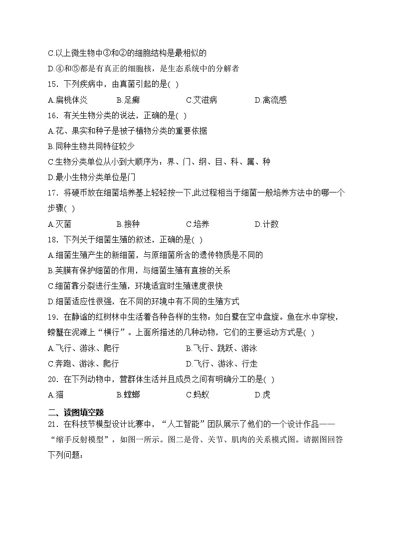 黑龙江省大庆市肇源县五校联考 2023-2024学年七年级下学期5月期中考试生物试卷(含答案)第3页