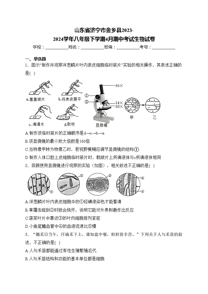 山东省济宁市金乡县2023-2024学年八年级下学期4月期中考试生物试卷(含答案)第1页