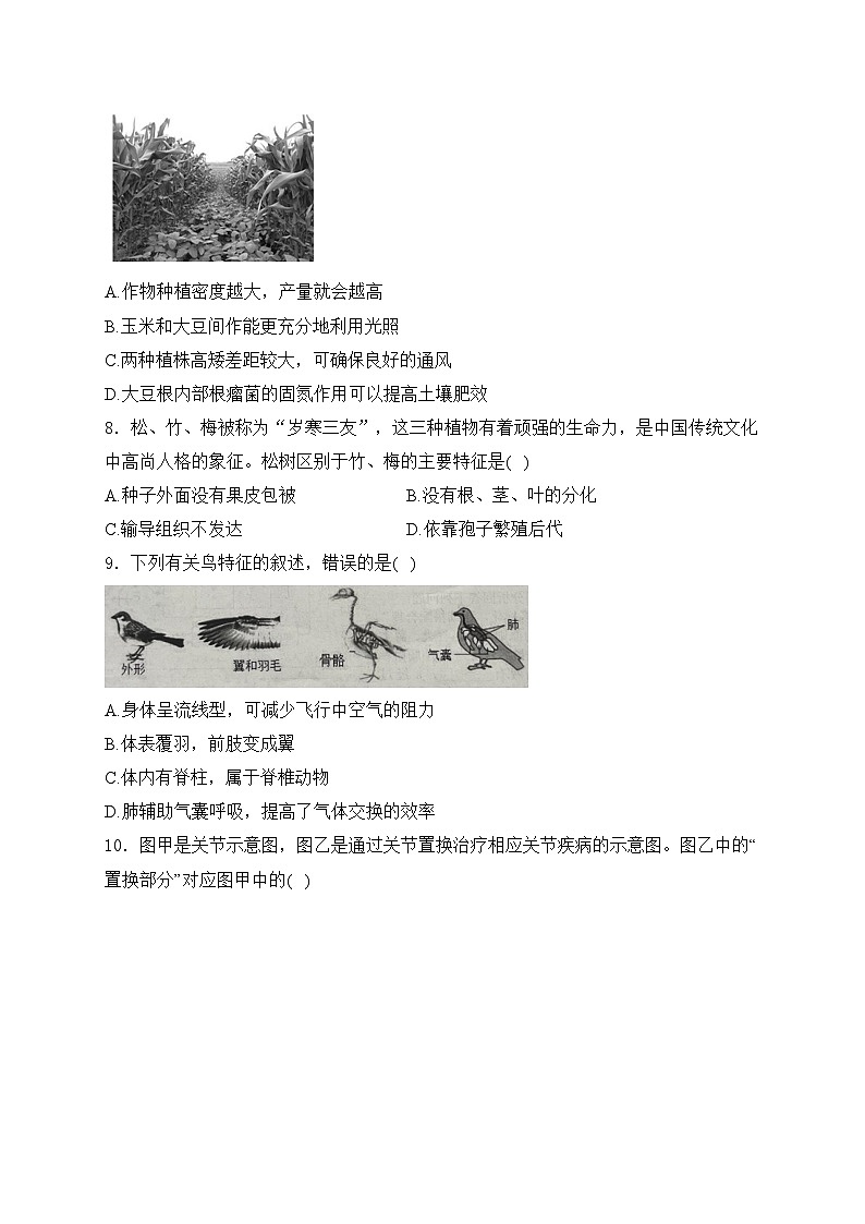 山东省济宁市金乡县2023-2024学年八年级下学期4月期中考试生物试卷(含答案)第3页