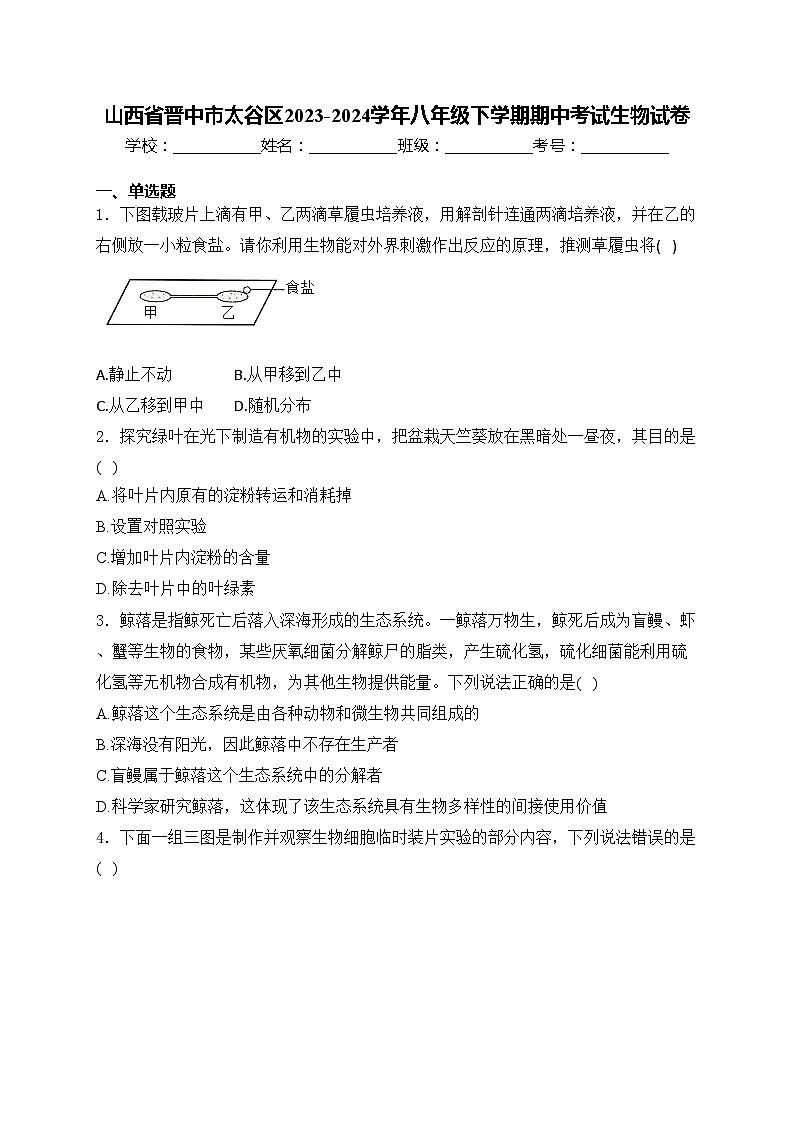 山西省晋中市太谷区2023-2024学年八年级下学期期中考试生物试卷(含答案)01