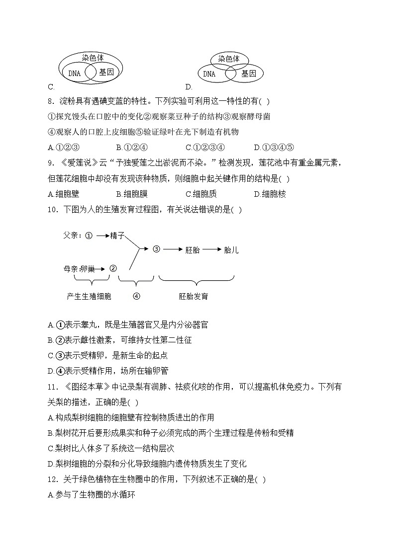 山西省晋中市太谷区2023-2024学年八年级下学期期中考试生物试卷(含答案)03
