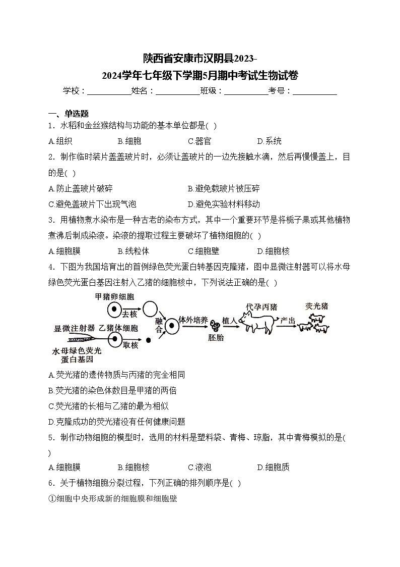 陕西省安康市汉阴县2023-2024学年七年级下学期5月期中考试生物试卷(含答案)01