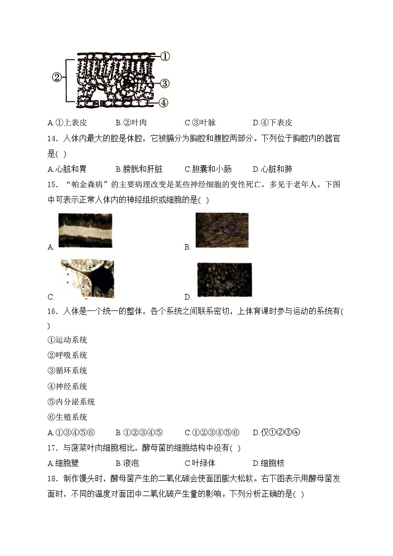 陕西省安康市汉阴县2023-2024学年七年级下学期5月期中考试生物试卷(含答案)03