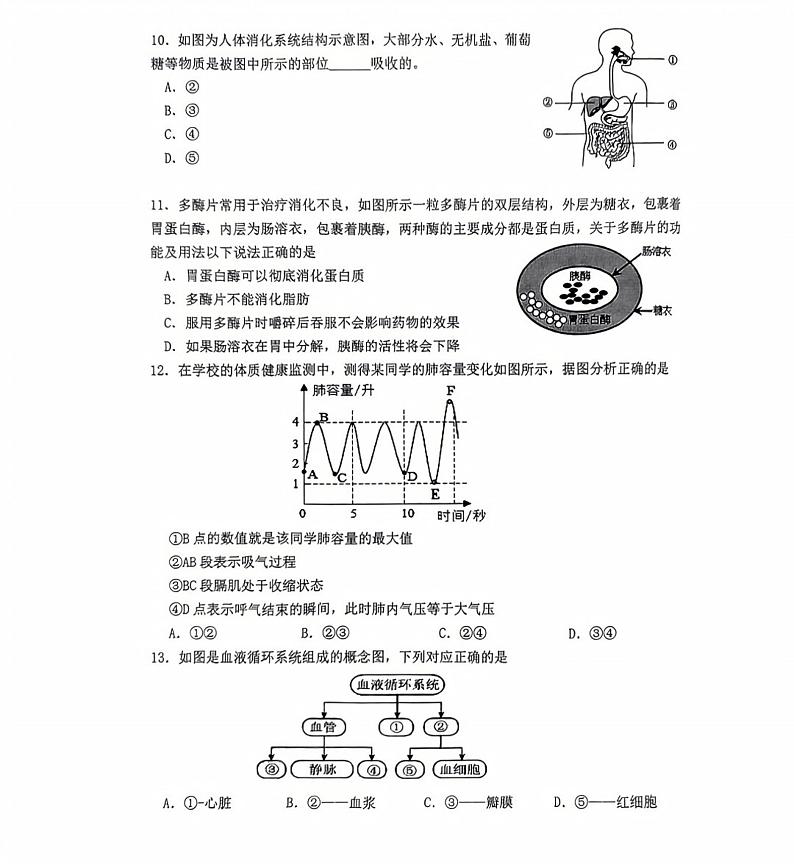 2024年陕西省西安交通大学附属中学分校八年级中考二模生物试题03