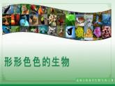 1.1.1形形色色的生物（课件+教案）北师大版 七上