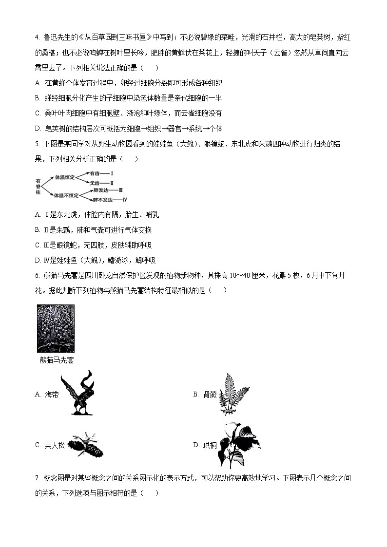 2024年河北省邢台市信都区中考二模生物试题（原卷版+解析版）02